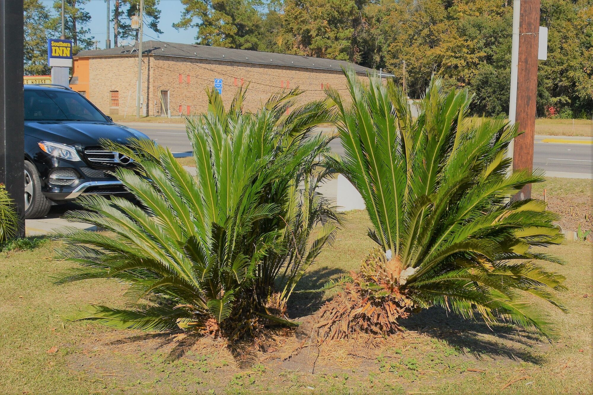 Travelodge By Wyndham Walterboro Extérieur photo